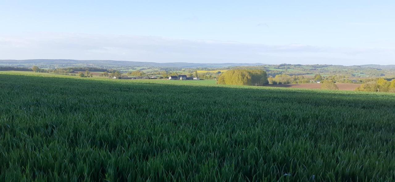 Private Farmhouse For Six In The Countryside Saint-Pierre-sur-Orthe エクステリア 写真